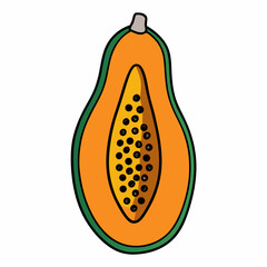 vector illustration of an orange fruit