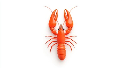 Symmetrical orange lobster with white background