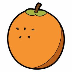 vector illustration of an orange fruit