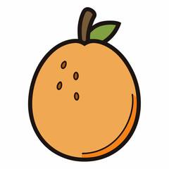 vector illustration of an orange fruit