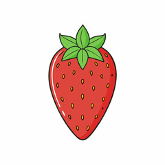 strawberry on white background