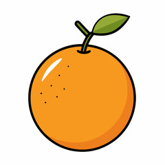 vector illustration of an orange
