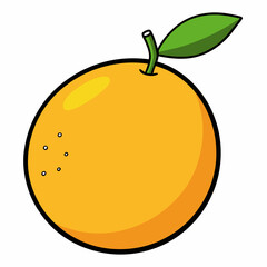 vector illustration of an orange fruit