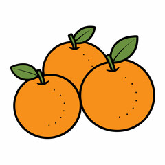 vector illustration of an orange