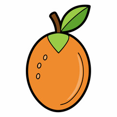 vector illustration of an orange