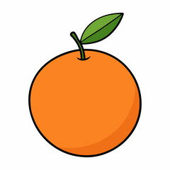 orange fruit vector illustration