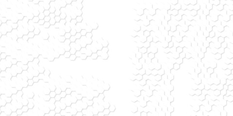 Abstract background with hexagon, modern abstract polygonal pattern. Futuristic abstract honeycomb technology white background. Luxury white hexagon pattern.
