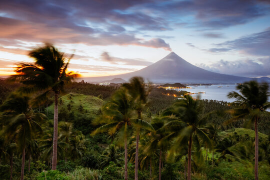 Mayon volcano and valley with palm trees at sunset, Albay, Philippines