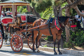 Traditional Horse Carriage in Mdina Malta

