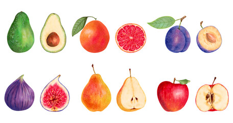 Avocado with grapefruit, plum, fig with pear and apple. Collection of whole and halves of fruit. Watercolor illustration. Hand drawn isolated art. Food products for farm projects design, harvest