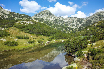 Pirin Mountain near Banderitsa Area, Bulgaria