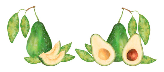 Fruit composition with whole, half and slice of avocado with leaves. Watercolor and marker illustration. Hand drawn isolated clipart. Botanical vegetable sketch for food packaging, juice or menu