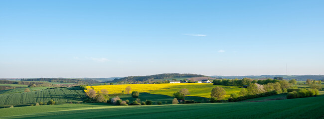 rural countryside of suedeifel in germany dominated by rapeseed fields in spring