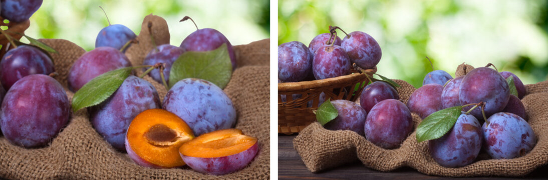plum on the sackcloth with blurred background