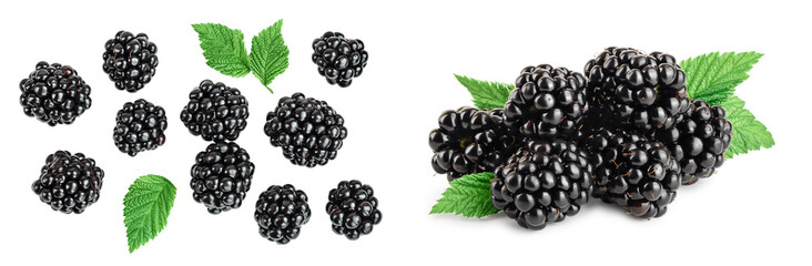 blackberry isolated on a white background closeup. Clipping path and full depth of field. Top view. Flat lay