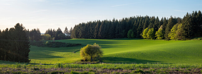 fresh spring colors on trees and fields in german nature park suedeifel under blue sky