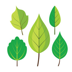 Leaf vector illustration. Green leaves isolated on white. green leaves on white background . Collection of green leaf logo, icon vector design.