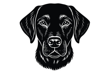 Isolated portrait of a cute black Labrador retriever dog