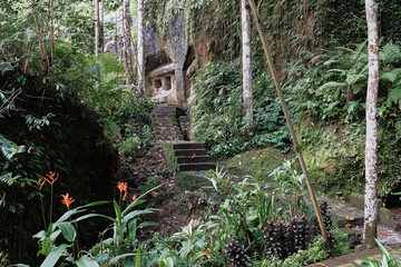 Explore hidden paths in lush Bali jungle with stone steps and vibrant flora