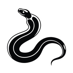 stunning boa constrictor silhouette