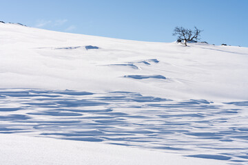 Strong wind made patterns in the snow. Utsjoki, Finland