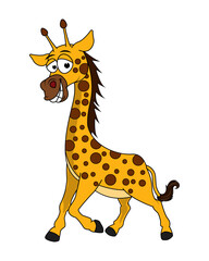 Fototapeta premium Cute Giraffe Animal cartoon
