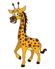 Cute Giraffe Animal cartoon