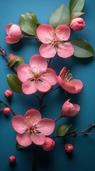 Pink Blossom Branch on Teal Background: A Stunning Floral Still Life
