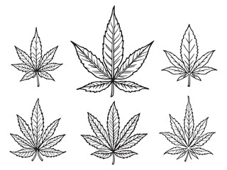 Cannabis leave vector line art illustration