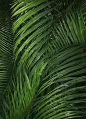 Intricate, vibrant green palm leaf texture close-up  Lush tropical foliage detail , botanical, macro, fresh