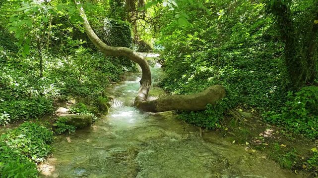 Bachkovo waterfalls cascade in Rhodopes Mountain, Plovdiv region, Bulgaria