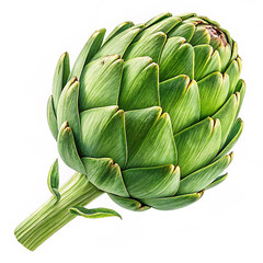 Fototapeta premium Artichoke isolated on transparent background 