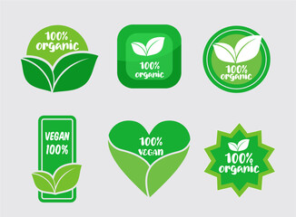 Eco Healthy Organic Vegan Lifestyle Concept