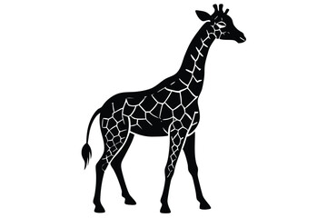Naklejka premium Long-necked brown giraffe isolated on a white background