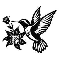 Hummingbird vector silhouette, hummingbird and floral design