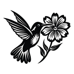 Hummingbird vector silhouette, hummingbird and floral design