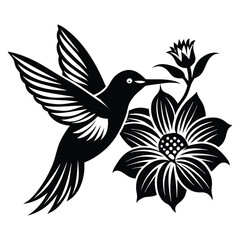 Hummingbird vector silhouette, hummingbird and floral design