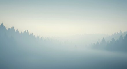 Fototapeta premium Misty forest landscape at sunrise. Pine tree silhouettes in dense fog. Scenic morning view of a tranquil nature valley for background.