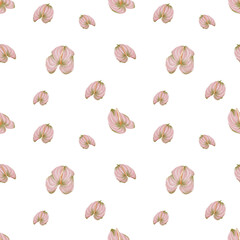 Seaside vacation, beach, tropical. Summer vacation. Mediterranean. Shells, plants, items for vacation.