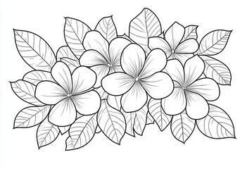 Stilisierte Plumeria-Bl&uuml;ten und Bl&auml;tter - Tuschezeichnung