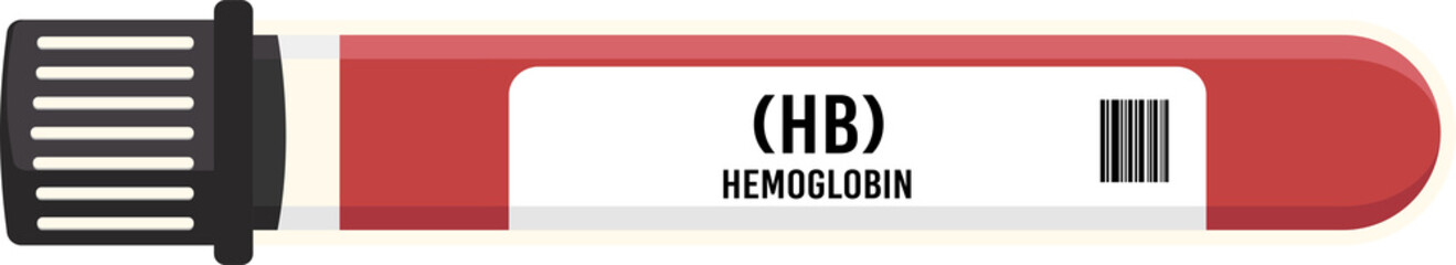 HB  hemoglobin