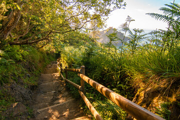 Wooden nature trail surrounded by lush vegetation on the route to San Juan de Gaztelugatxe, a green landscape of the Basque Country ideal for hiking, ecotourism and nature photography.