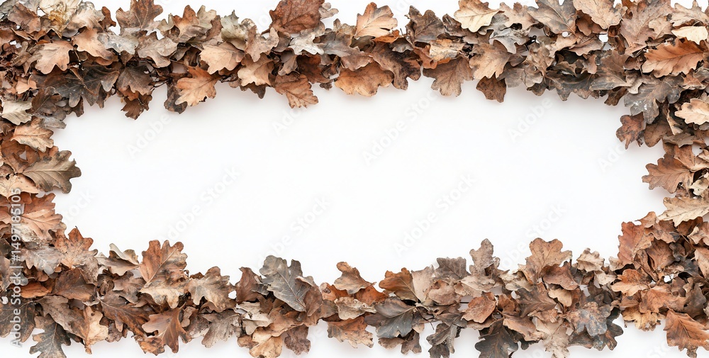 Aufkleber dried brown oak leaves arranged in a rectangular frame on white background.