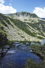 Pirin Mountain near Banderitsa Area, Bulgaria
