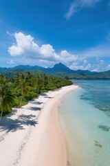 A beautiful beach with palm trees and a clear blue ocean. The sky is mostly clear with a few clouds scattered around. The beach is a perfect place to relax