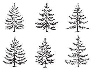 Fir Tree Minimal Line Drawing