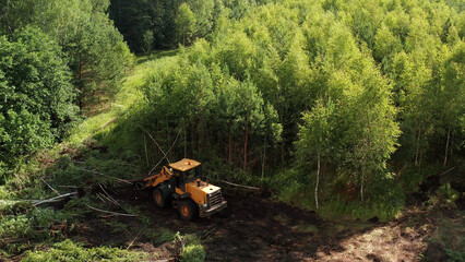 Forestry tractor removing cut trees in deforestation operation © Ruslan