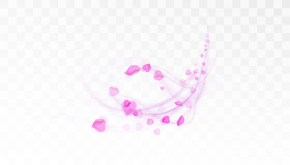 Vector swirl of flying pink petals with soft glowing light trail on transparent background. Romantic and elegant design element for greetings, cosmetics ads, wedding or beauty projects.

