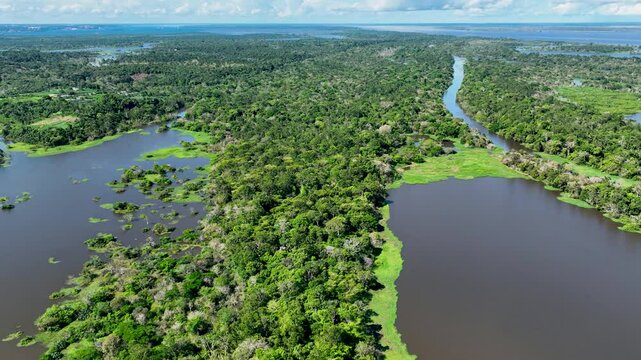 Amazon River In Manaus Amazonas Brazil. Stunning River Winds Through A Lush Tropical Rainforest. Bolivia River Forest Background Coast. Bolivia Travel. Manaus Amazonas.