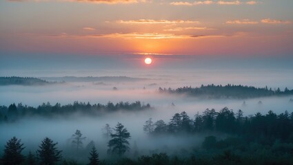 Obraz premium Sunrise over a foggy forest landscape with the sun rising above the horizon. Nature, morning, and scenic view. The concept of dawn and natural beauty.